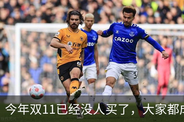 今年双11已经没人买了，大家都成了“纯过日子人”……