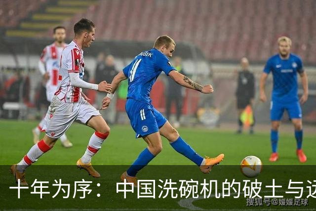 十年为序：中国洗碗机的破土与远征