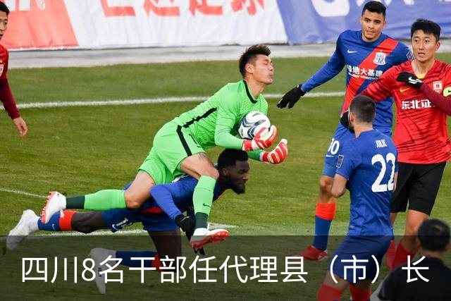 四川8名干部任代理县（市）长