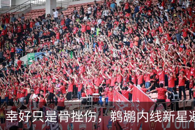 幸好只是骨挫伤，鹈鹕内线新星避免了重大伤病的发生？