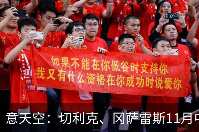 意天空：切利克、冈萨雷斯11月中旬国际比赛日后复出