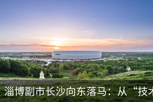 淄博副市长沙向东落马：从“技术型”干部到任上被查的警示