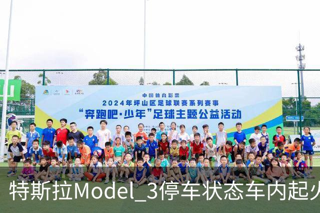 特斯拉Model 3停车状态车内起火 三星手机成怀疑对象