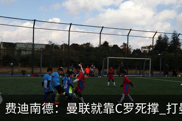 费迪南德：曼联就靠C罗死撑 打曼城会被灌五球