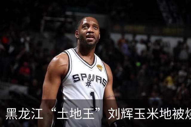 黑龙江“土地王”刘辉玉米地被烧后续来了！下架所有有关视频，自述前因后果