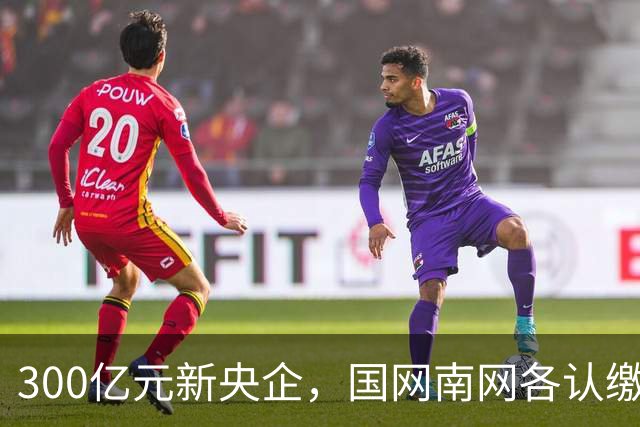 300亿元新央企，国网/南网各认缴37.5亿元